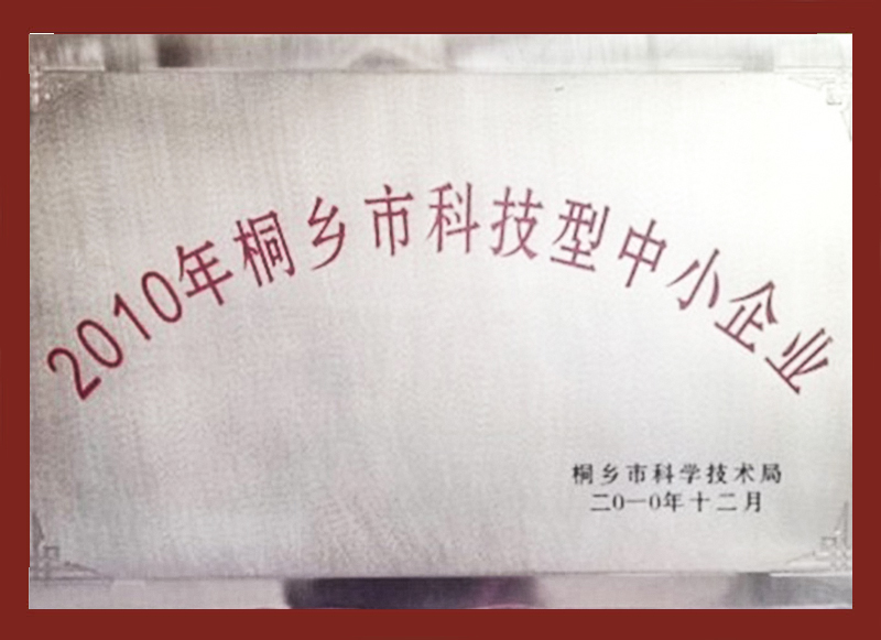 2010年桐鄉(xiāng)市科技型中小企業(yè)